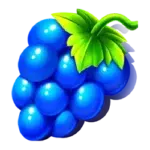 Grapes Symbol in slot Fruit Party